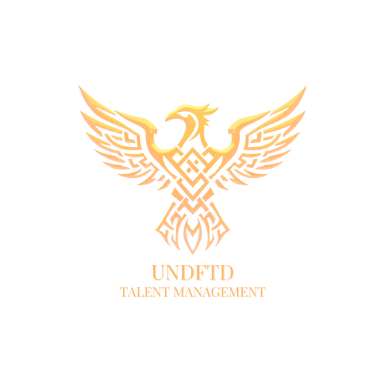 UNDFTD Talent Management